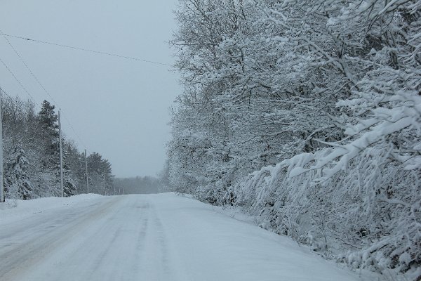 New Camera Dec2010 190